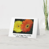 Carte Marguerite jaune et orange de Gerber (Dos)
