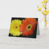 Carte Marguerite jaune et orange de Gerber (Fleur jaune)