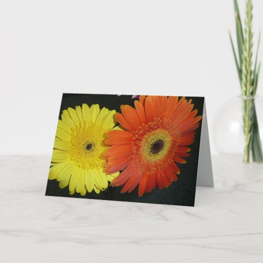 Carte Marguerite jaune et orange de Gerber (Devant)