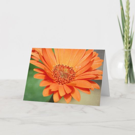 Carte Marguerite orange de Gerbera (Devant)