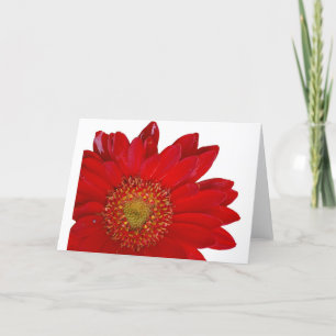Carte Marguerite rouge de Gerbera