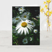 Carte Marguerites (Fleur jaune)