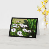Carte Marguerites africaines blanches (Fleur jaune)