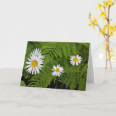 Carte Marguerites et fougères, enveloppe incluse (Fleur jaune)