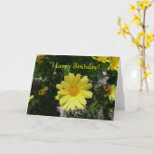 Carte Marguerites jaunes (Fleur jaune)