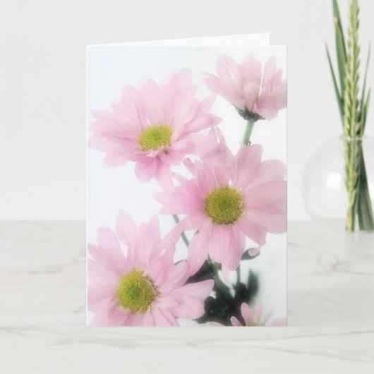 Carte Marguerites roses (Devant)