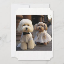 Carte Mariage Amoureux des chiens