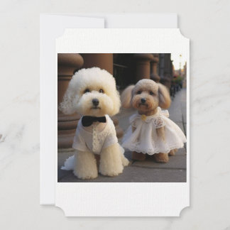 Carte Mariage Amoureux des chiens