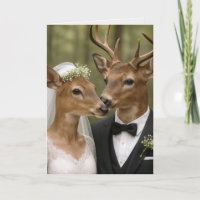 Mariage de cerf et biche dans la forêt