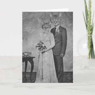 Carte Mariage de chats