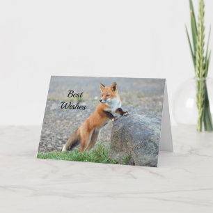 Carte Mariage des félicitations Red Fox Standing