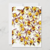 Carte Mariage Florale, Daffodiques Jaunes (Dos)