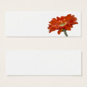 Carte mariage - Orange Daisy Gerbera (Devant & derrière)
