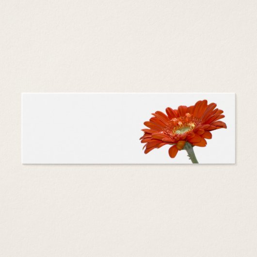 Carte mariage - Orange Daisy Gerbera (Devant)