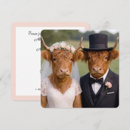 Carte Mariage Vaches Highland Écossaises (Devant / Derrière)