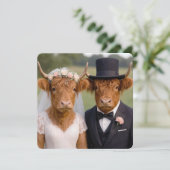 Carte Mariage Vaches Highland Écossaises (Debout devant)