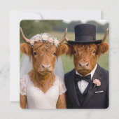 Carte Mariage Vaches Highland Écossaises (Devant)