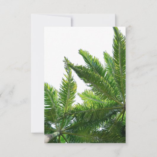 Carte Mariage verte Tropical Palm Tree (Dos)
