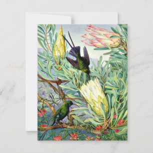 Carte Marianne North - Fleurs de miel et suceurs de miel