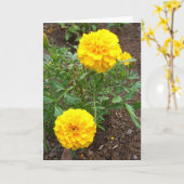 Carte Marigold (Fleur jaune)