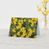 Carte Marigold Marsh en fleurs (Fleur jaune)