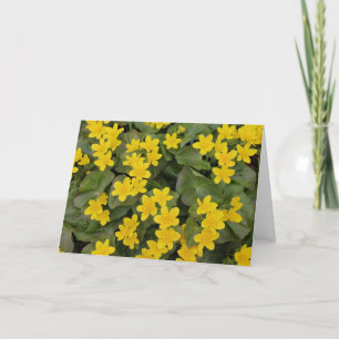 Carte Marigold Marsh en fleurs