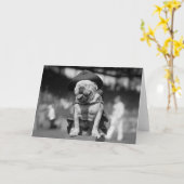 Carte Marine Corps mascotte, les années 1920 (Fleur jaune)