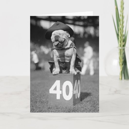 Carte Marine Corps mascotte, les années 1920 (Devant)