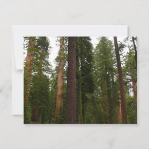 Carte Mariposa Grove dans le parc national de Yosemite