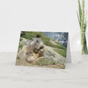 Carte Marmot birthday card