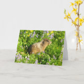 Carte Marmot dans le Mont Rainier Fleurs sauvages (Fleur jaune)