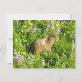 Carte Marmot dans le Mont Rainier Fleurs sauvages (Devant)