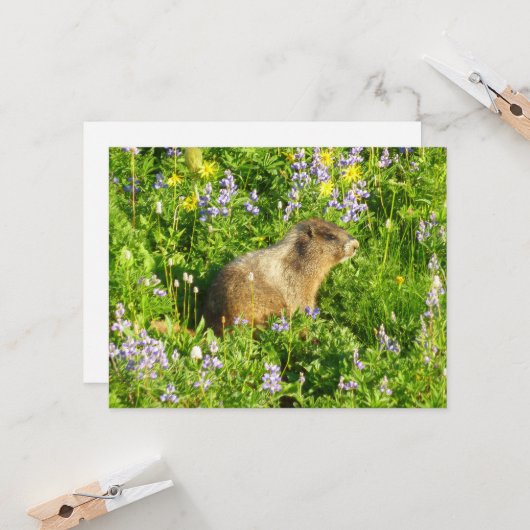 Carte Marmot dans le Mont Rainier Fleurs sauvages (Devant/Arrière en situation)