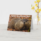 Carte Marmotte (Fleur jaune)