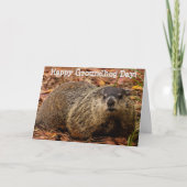 Carte Marmotte (Devant)