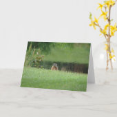 Carte Marmotte (Fleur jaune)