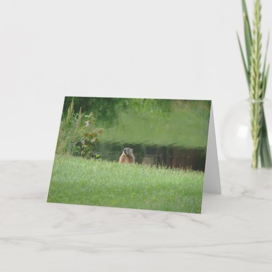 Carte Marmotte (Devant)