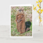 Carte Marmotte (Fleur jaune)