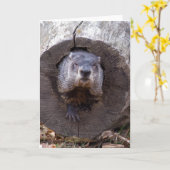 Carte Marmotte (Fleur jaune)