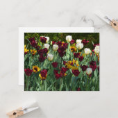 Carte Maroon et Tulipes Jaunes Florales colorées (Devant/Arrière en situation)