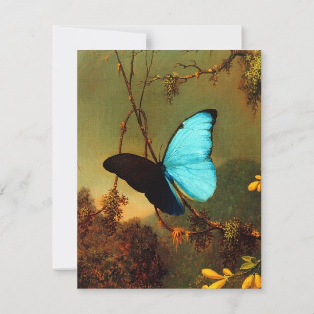 Carte Martin Johnson Heade Blue Morpho Butterfly (Devant)