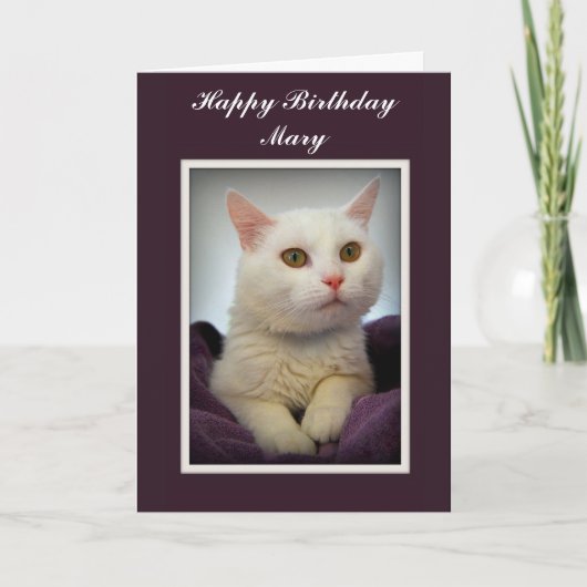 Carte Mary Happy Birthday White Cat Card (Devant)