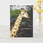 Carte Masai de Twiga (girafe de masai) (Fleur jaune)