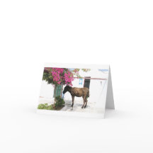 mascotte Opa d'âne de GreekIslandHouse.com !