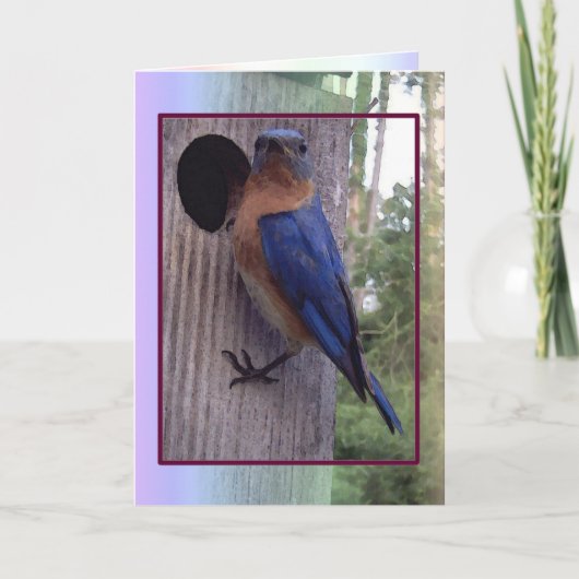 Carte masculine d'oiseau bleu (Devant)