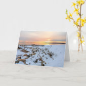 Carte Massachusetts Nelson Park Plymouth (Fleur jaune)