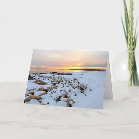 Carte Massachusetts Nelson Park Plymouth (Devant)