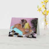 Carte Massage d'anniversaire drôle de chat (Fleur jaune)