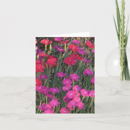 CARTE MASSE DE FLEURS ROSES ET ROUGES (Devant)