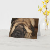 Carte mastiff géant endormi attendant le gâteau (Fleur jaune)